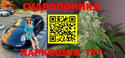 Альфа ПВП Гусев