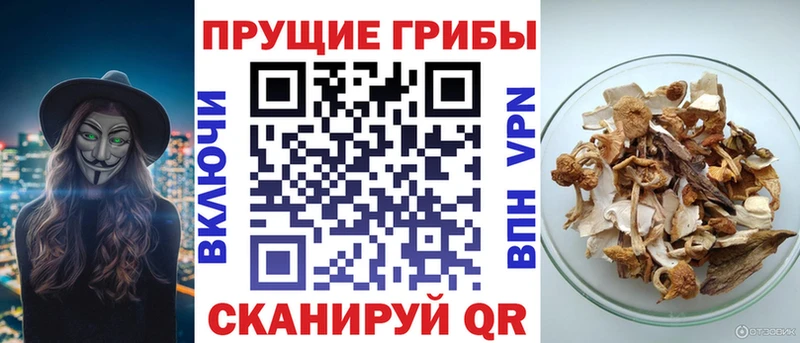 Псилоцибиновые грибы мухоморы  наркотики  Кисловодск 