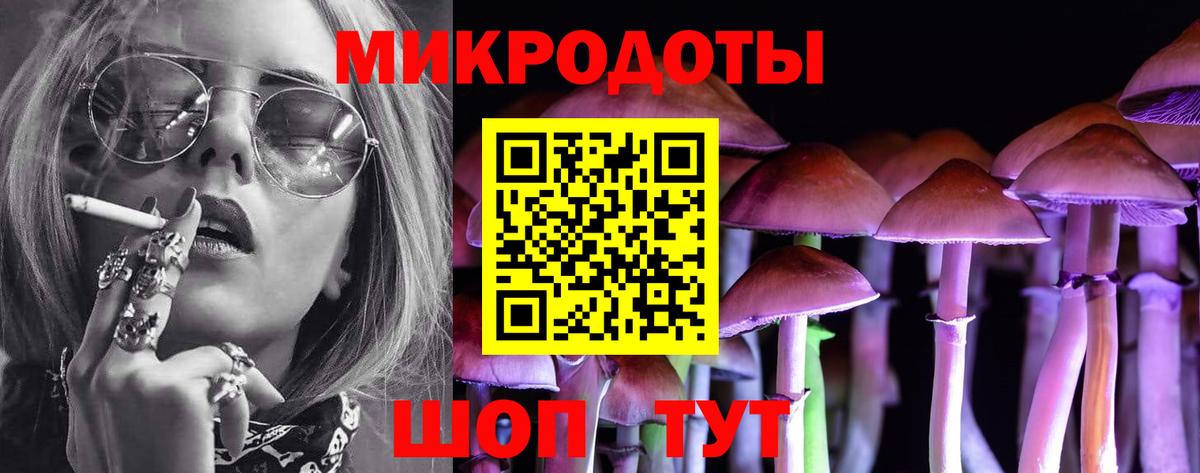 Псилоцибиновые грибы ЛСД  цена наркотик  Кисловодск  Вход с VPN  Псилоцибиновые грибы мицелий 