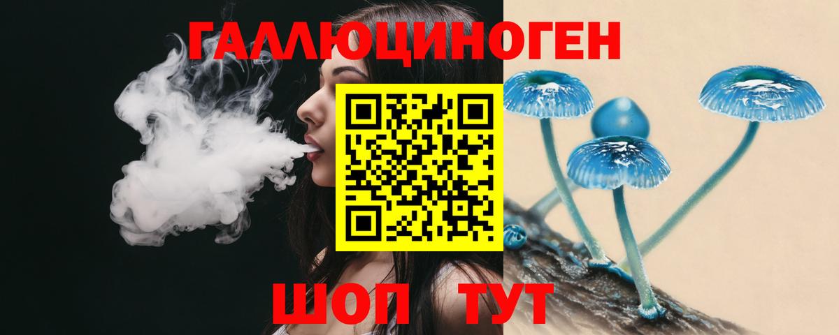Галлюциногенные грибы Psilocybe Кисловодск