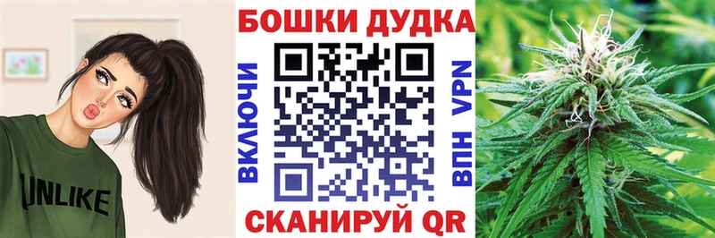Бошки марихуана планчик  Кисловодск 