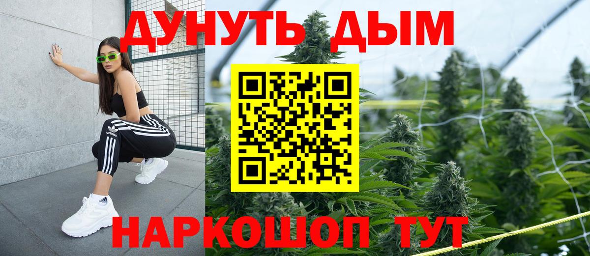 Каннабис гибрид Кисловодск